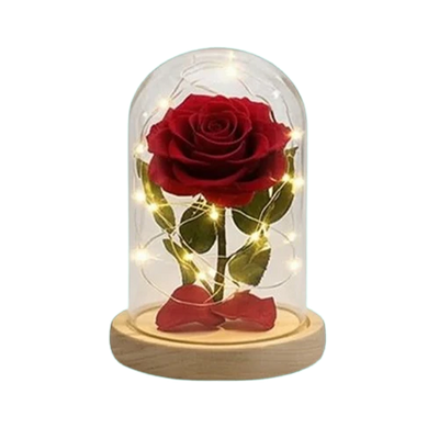 Gift & Decoration